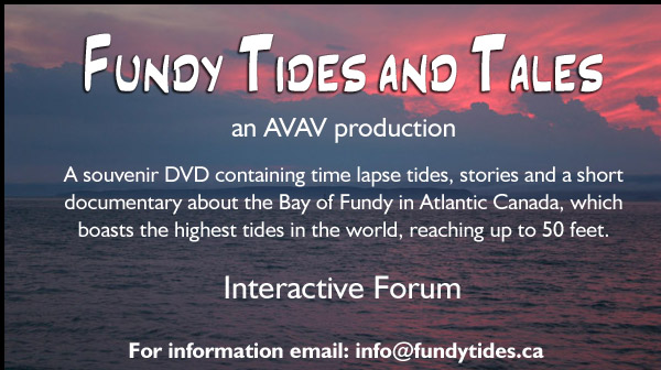 Fundy Tides and Tales