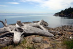 Fundy Tides Videos
